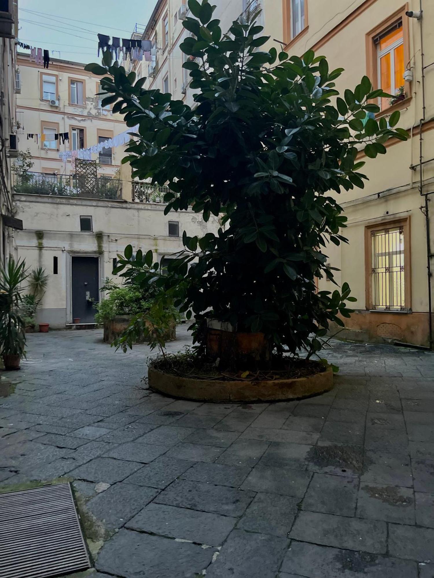 Momarooms Napoli Dış mekan fotoğraf